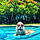 Buoy