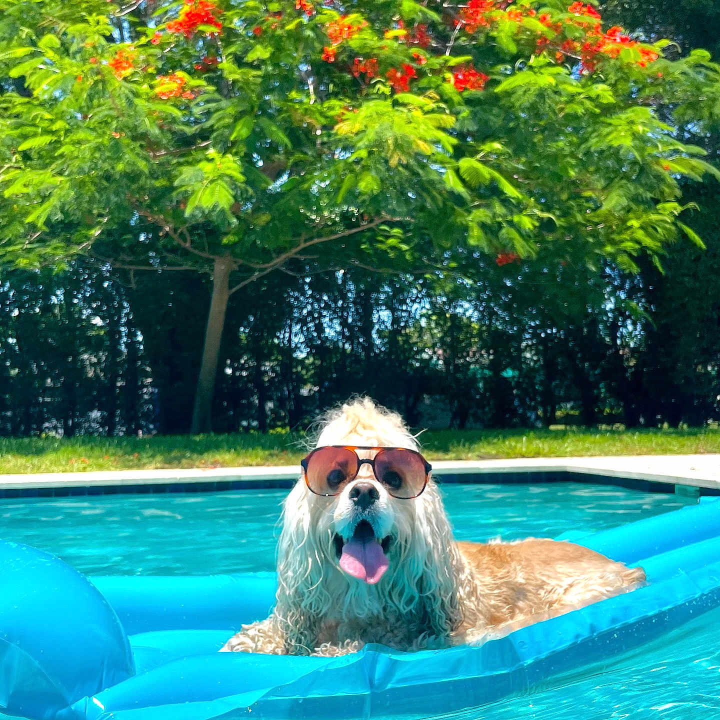 Buoy