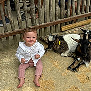 Mya a rejoint le concours — aidez-le/la à gagner de superbes lots ! toddler, child, goat, animal, fence, barefoot, white_sweater, pink_pants, sandy_ground, outdoor, petting_zoo, smiling, fence_wood, curious, people, legs, feet, resting, young_child, rustic