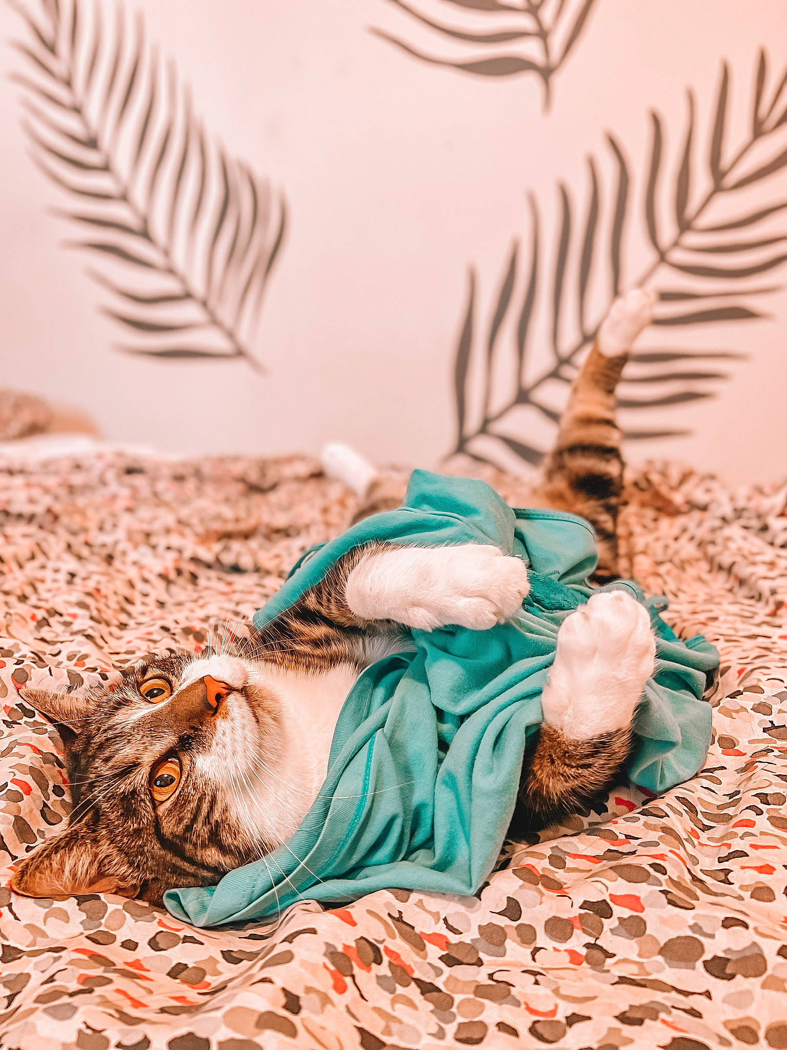 Kaplan joined the competition — help win amazing prizes! aqua, comfort, fashion_accessory, feather, fur, grass, human_leg, landscape, linens, natural_material, organism, pattern, plant, room, textile, thread, twig, wood, wool