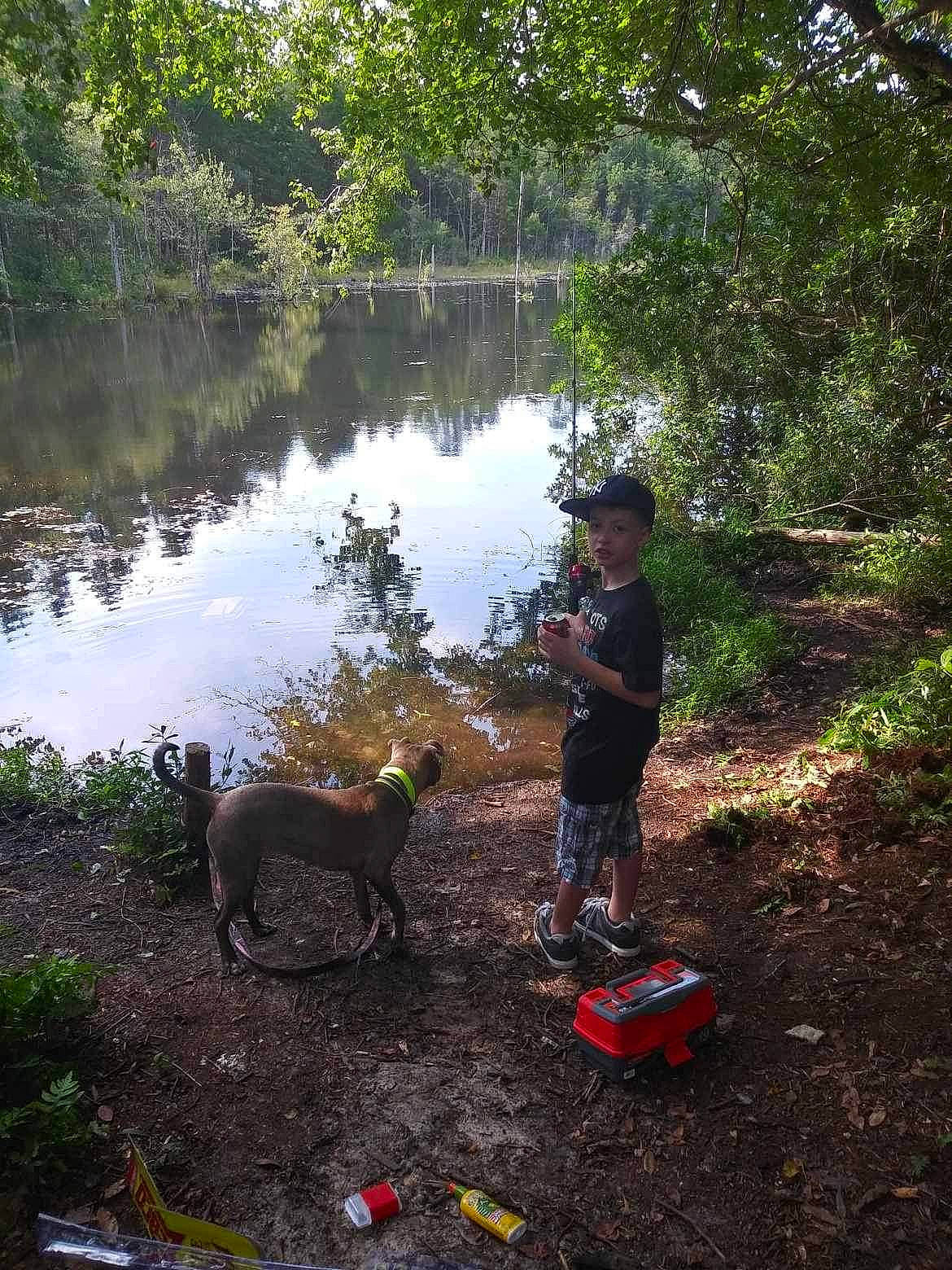 Mazie is registered to the contest to win money with this photo: botany, carnivore, dog, dog_breed, fawn, forest, grass, lacustrine_plain, lake, landscape, leisure, plant, recreation, shrub, tail, toddler, trail, tree, water, working_animal