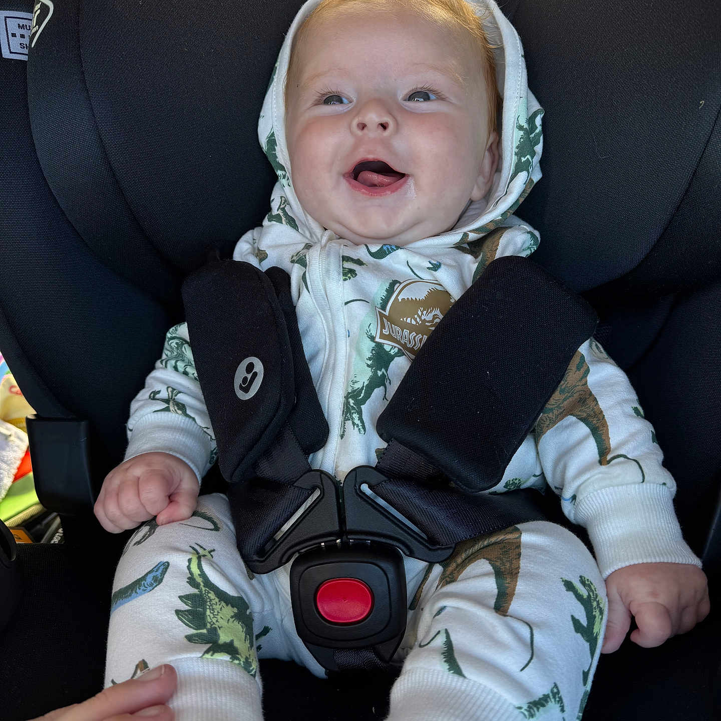 Kynoah joined the competition — help win amazing prizes! baby, baby_feet, car_seat, child, clothing, cute, dinosaur_print, foot, hand, happy, hoodie, indoor, infant, onesie, portrait, safety, seat, seat_belt, smiling, straps