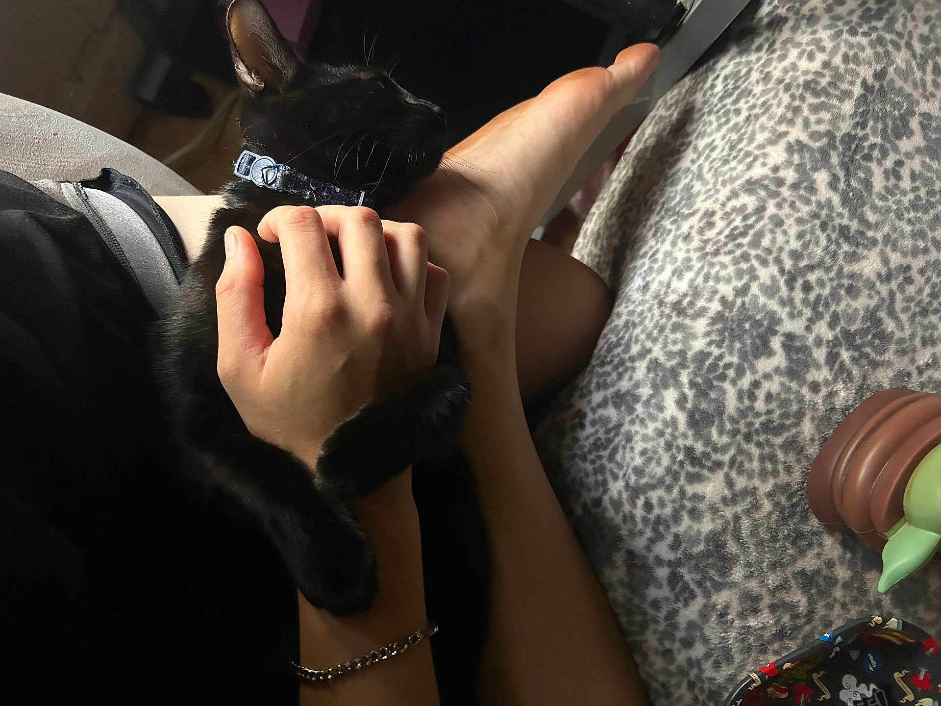 Kayjay joined the competition — help win amazing prizes! animal, black_cat, blanket, bracelet, casual, cat, close_up, collar, comfort, cozy, feline, foot, hand, human, indoor, leopard_print, pet, relaxing, resting, soft_lighting