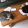 cat, tabby_cat, black_cat, sleeping, coffee_table, papers, keys, remote_control, couch, indoor, wooden_table, furniture, pet, domestic, relaxing, cozy, floor, notebook, leisure, home