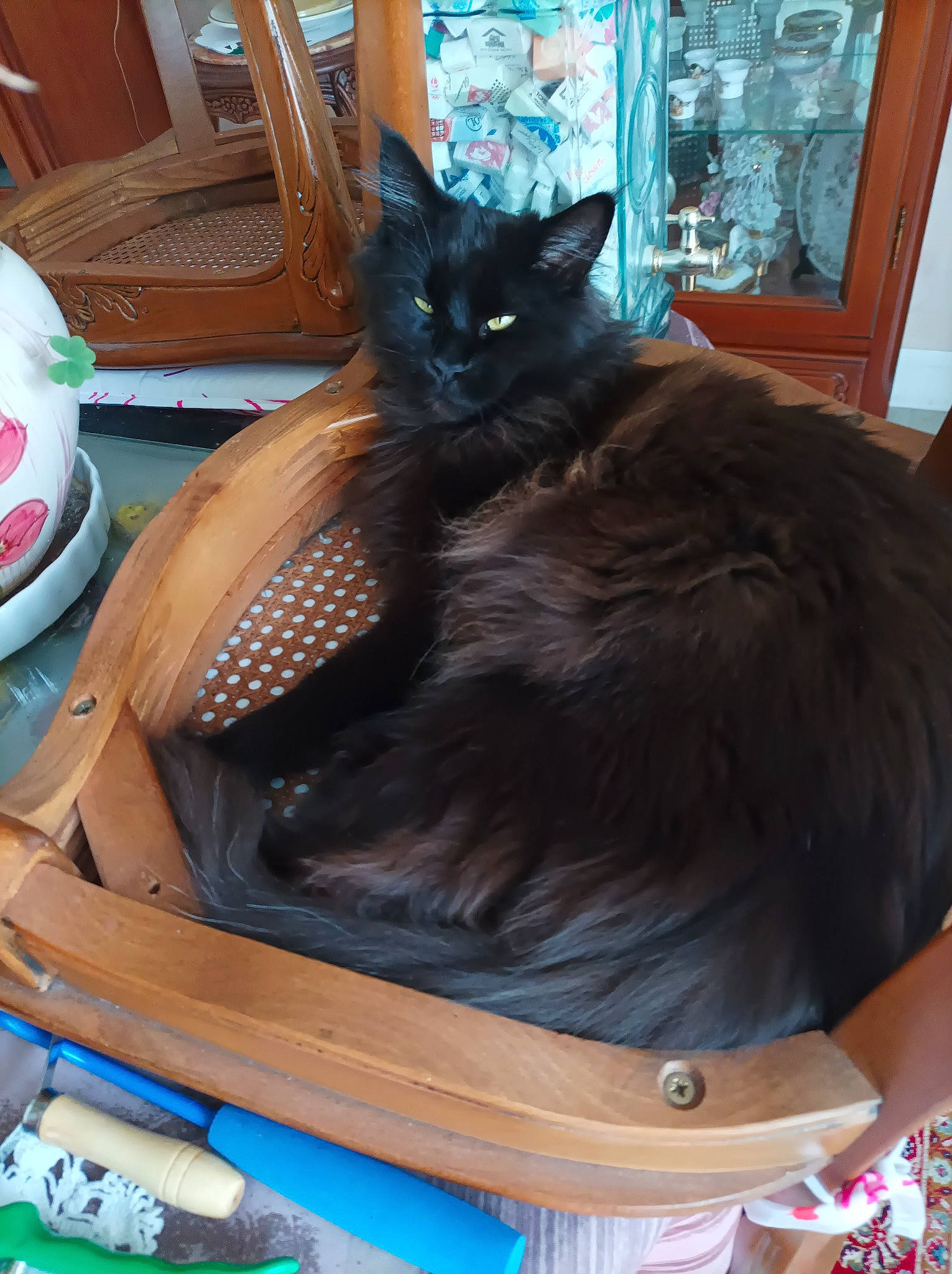 Ublaka De La Chatterie Alena