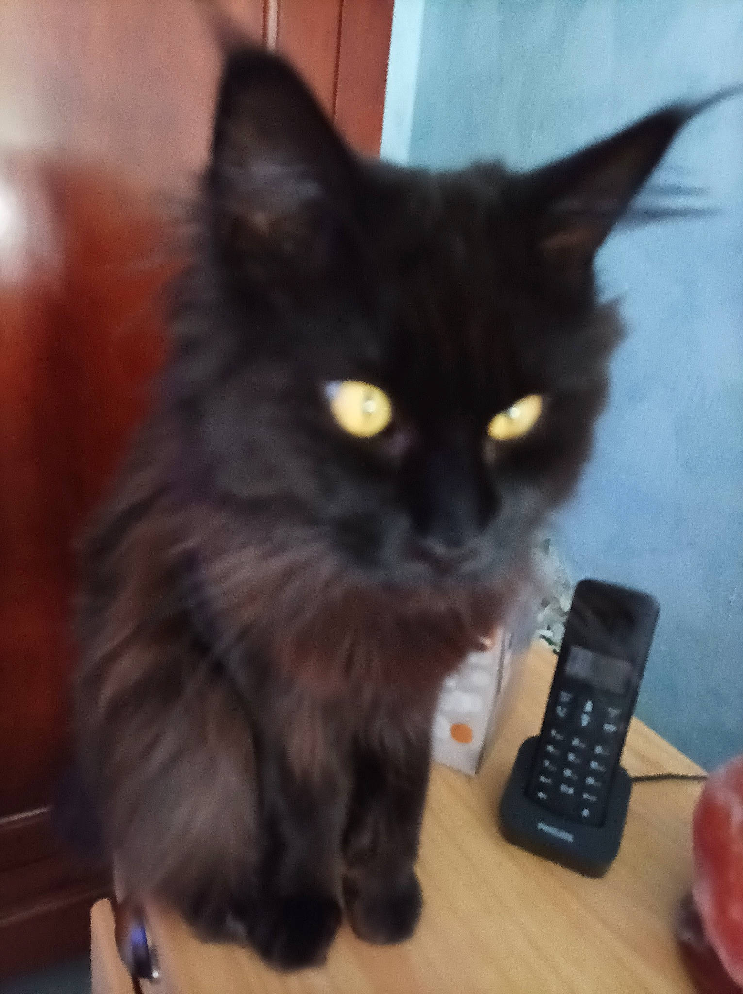 Ublaka De La Chatterie Alena