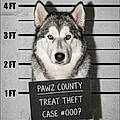 Paul C.