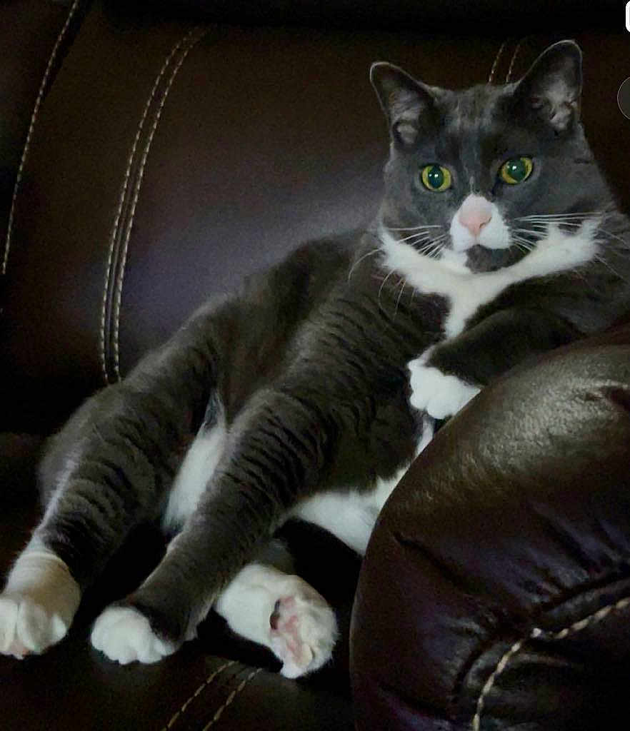 Oliver