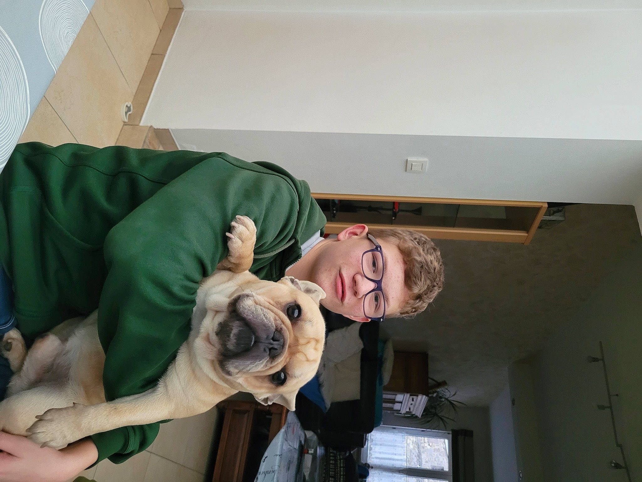 Axel a rejoint le concours — aidez-le/la à gagner de superbes lots ! canidae, carnivore, comfort, companion_dog, dog, dog_breed, elbow, eyewear, fawn, knee, person, pug, reflex_camera, room, shoulder, sitting, snout, sporting_group, toy_dog, working_animal