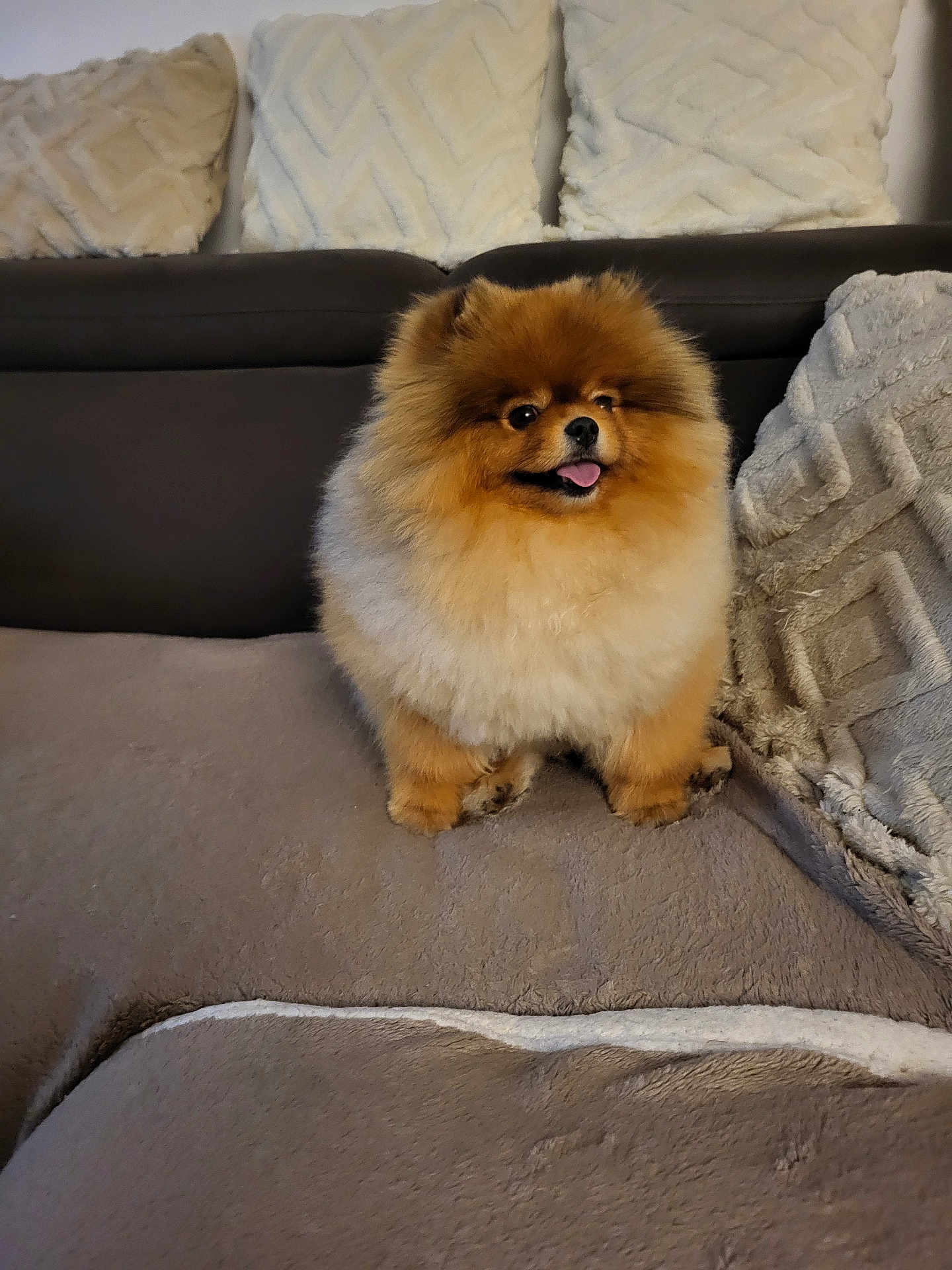 Tao