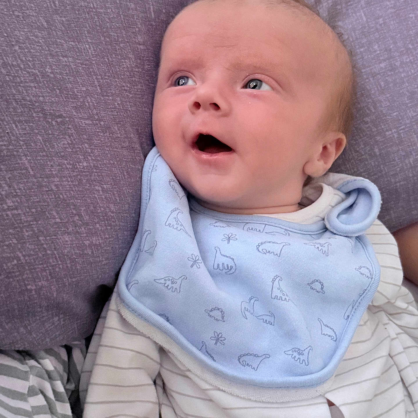 Noah joined the competition — help win amazing prizes! baby, blue_bib, child, close_up, clothing, curious, cushion, dinosaur_pattern, expression, face, indoor, infant, looking_up, lying_down, newborn, person, portrait, purple_cushion, soft_lighting, striped_onesie