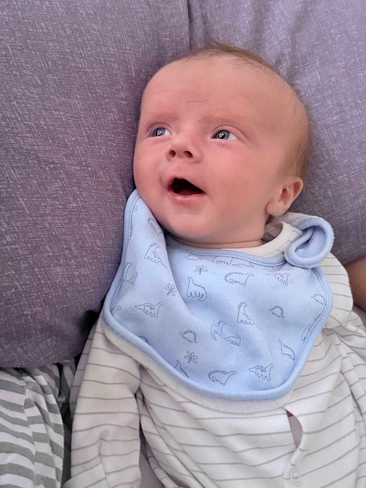 Noah joined the competition — help win amazing prizes! baby, infant, face, expression, blue_bib, dinosaur_pattern, striped_onesie, cushion, purple_cushion, lying_down, curious, looking_up, child, newborn, clothing, person, portrait, indoor, soft_lighting, close_up