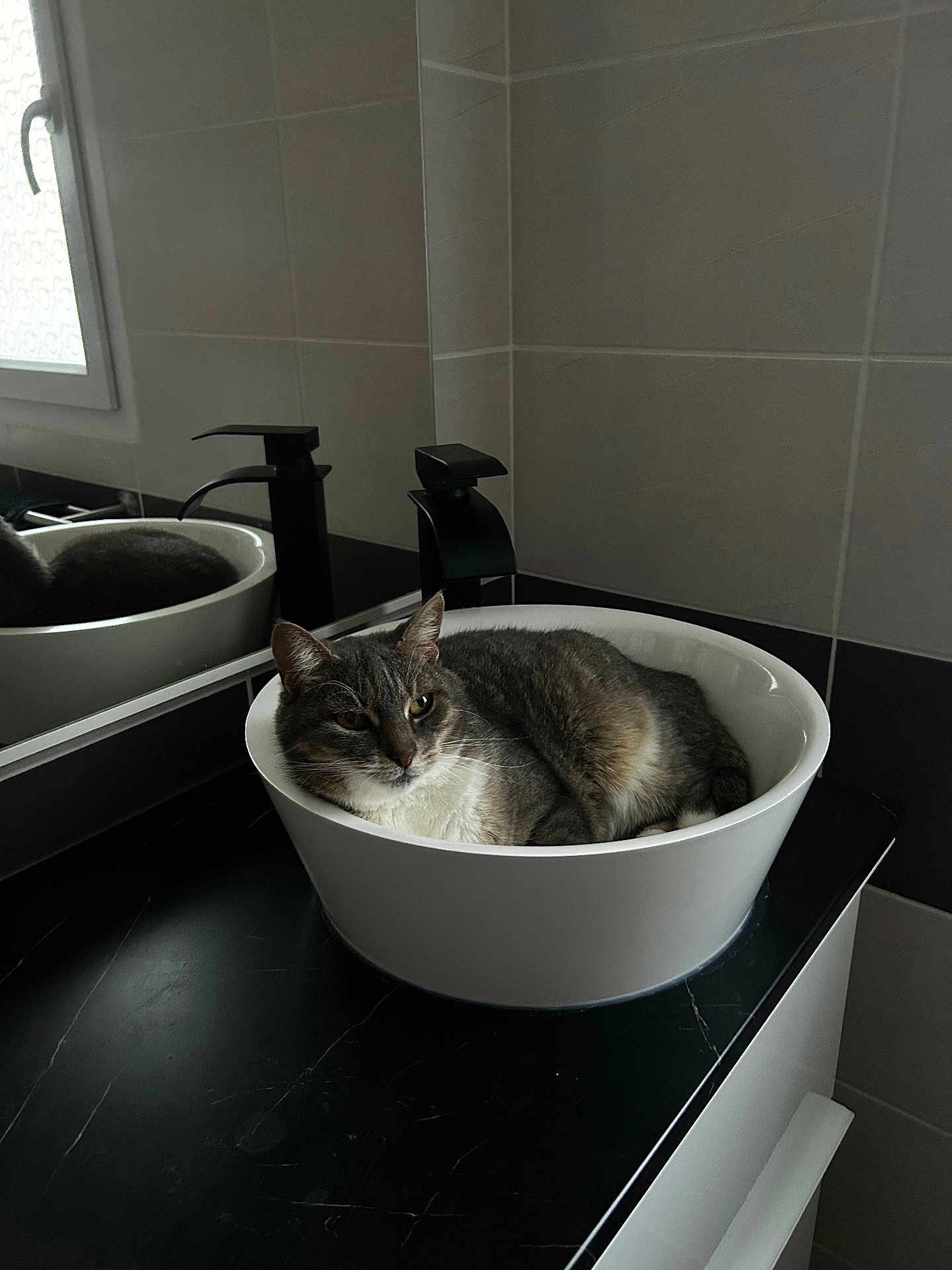 Mya