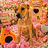 animal, brown_dog, butterfly, canine, collar, colorful, cute, decorated_scene, dog, doghouse, flowers, garden_theme, heart_shapes, papaya_plush, pet, pink_blanket, plush_toys, portrait, sitting, text_signs