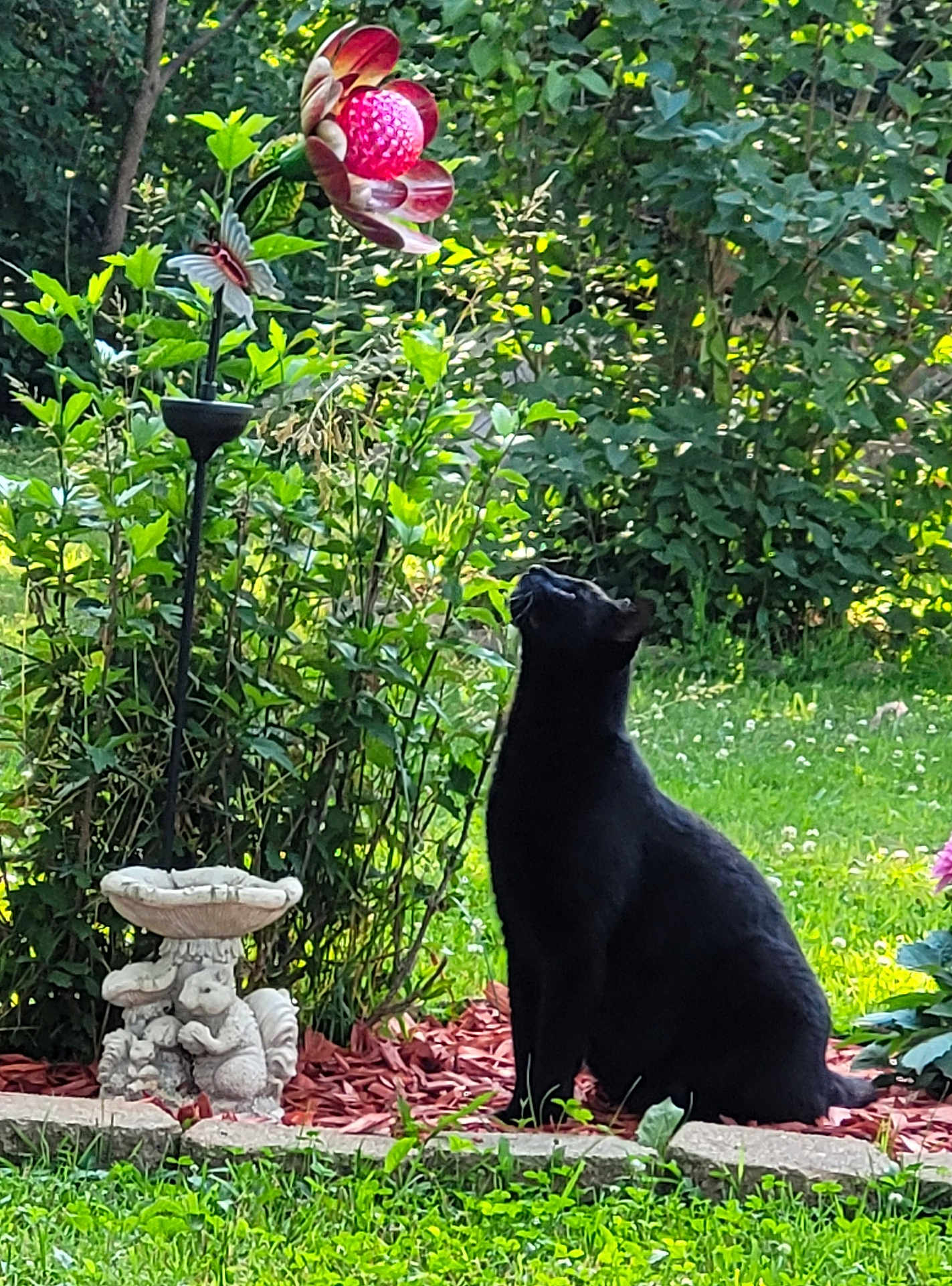 Onyx