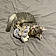 Topette