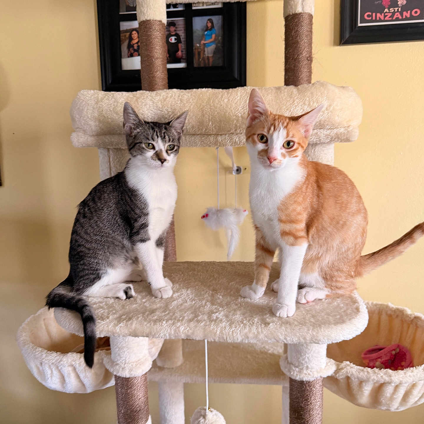 Porscha And Morty
