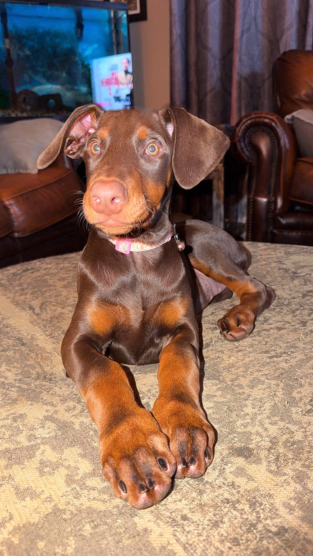 Mable