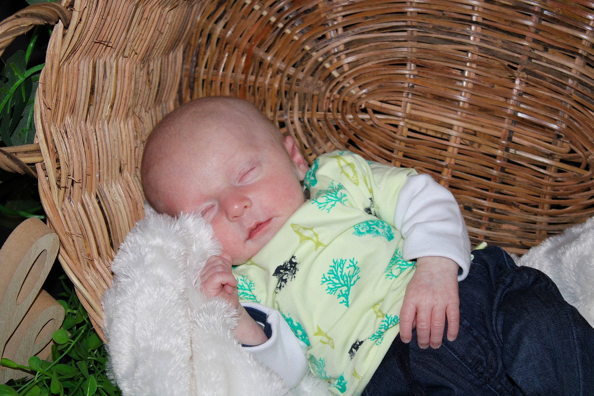 Lylian participe au concours pour gagner de l'argent avec cette photo : baby, baby_products, baby_toddler_clothing, basket, child, comfort, grass, happy, infant_bed, leisure, people_in_nature, person, sitting, skin, storage_basket, textile, toddler, tree, vertebrate, wicker