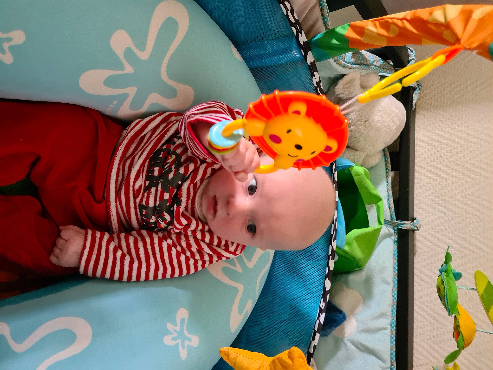 Lylian participe au concours pour gagner de l'argent avec cette photo : animation, baby, baby_products, baby_toys, child, event, fun, green, happy, hat, orange, pattern, person, plush, product, room, stuffed_toy, textile, toddler, toy