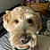 Eddie