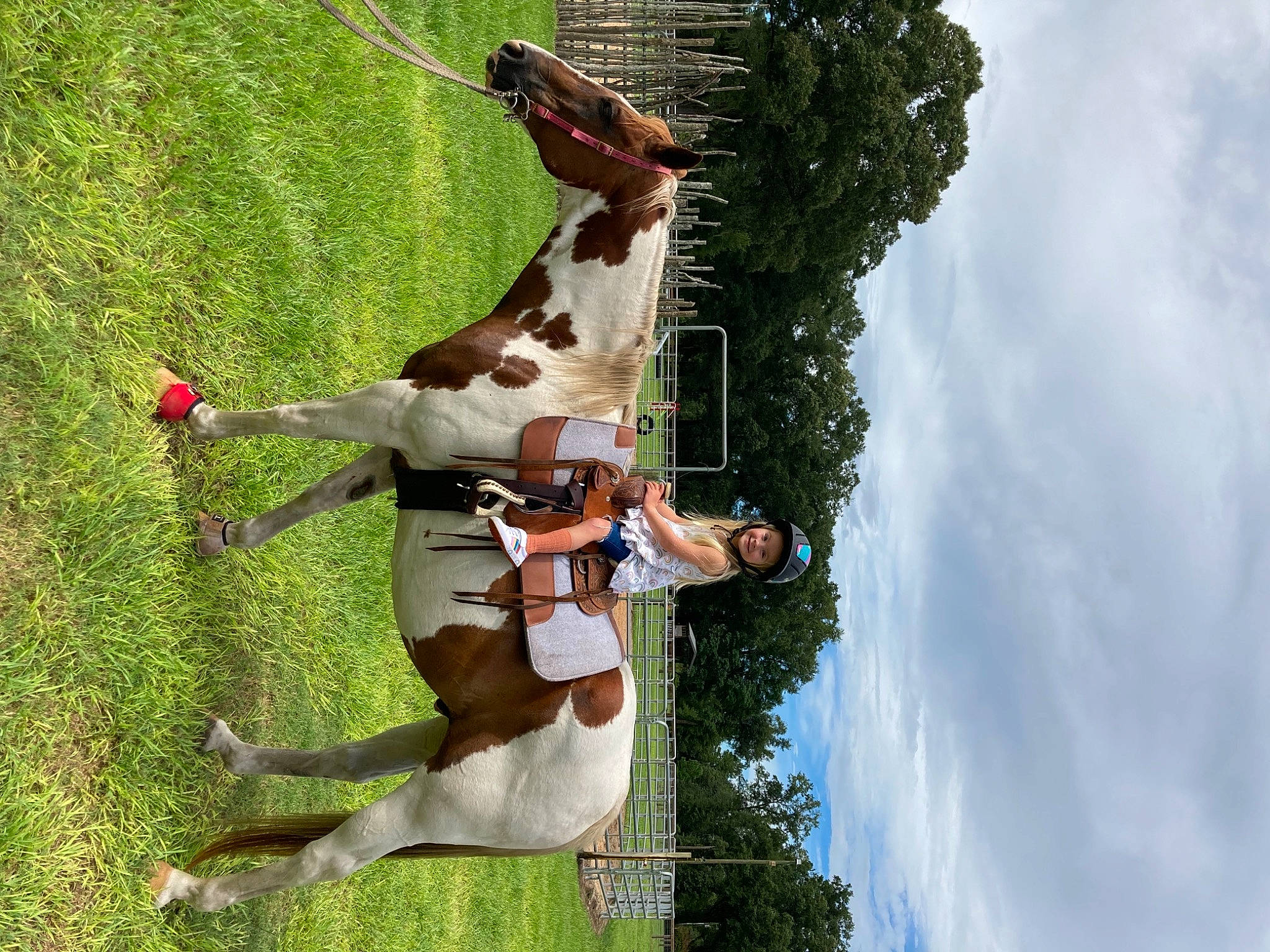 Alania joined the competition — help win amazing prizes! animal_sports, canidae, carnivore, cloud, companion_dog, dog, dog_breed, fawn, grass, happy, headwear, horse, joy, leisure, people_in_nature, person, plant, recreation, sky, sporting_group