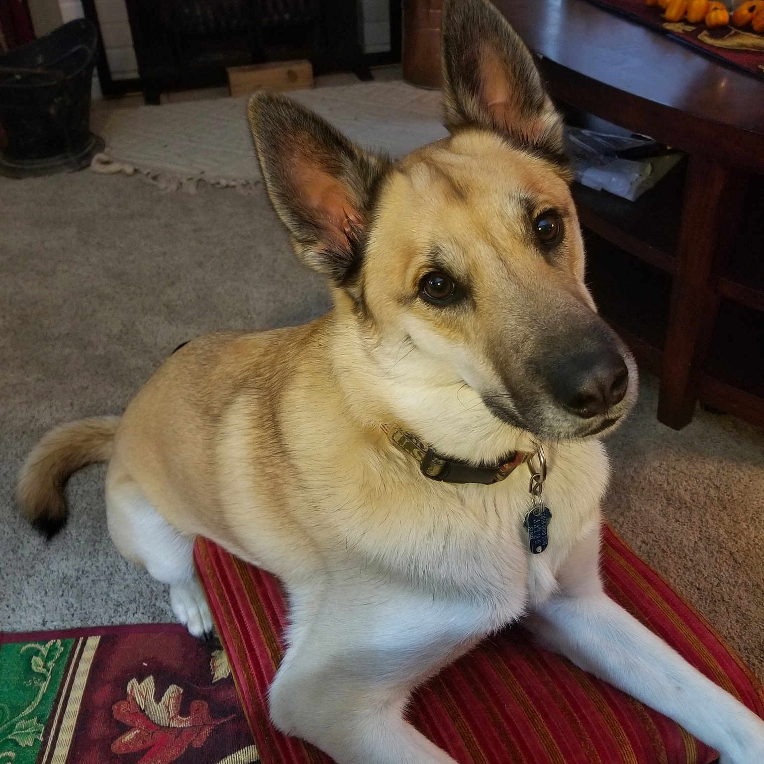 Lakota