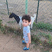Yahya participe au concours pour gagner de l'argent avec cette photo : child, toddler, curly_hair, goat, fence, outdoor, farm, sandals, onesie, grass, dirt, animal, pet, bird, nature, summer, daylight, curious, standing, rural