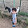 Yahya