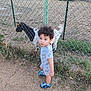 child, toddler, curly_hair, goat, fence, outdoor, farm, sandals, onesie, grass, dirt, animal, pet, bird, nature, summer, daylight, curious, standing, rural
