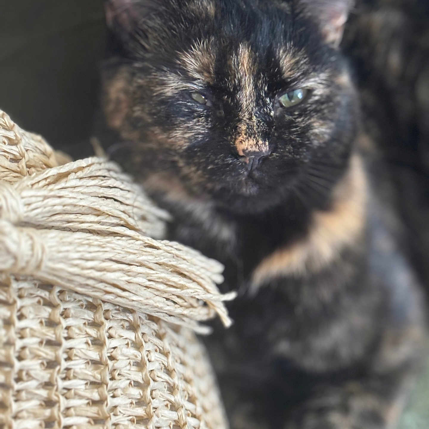 Mila
