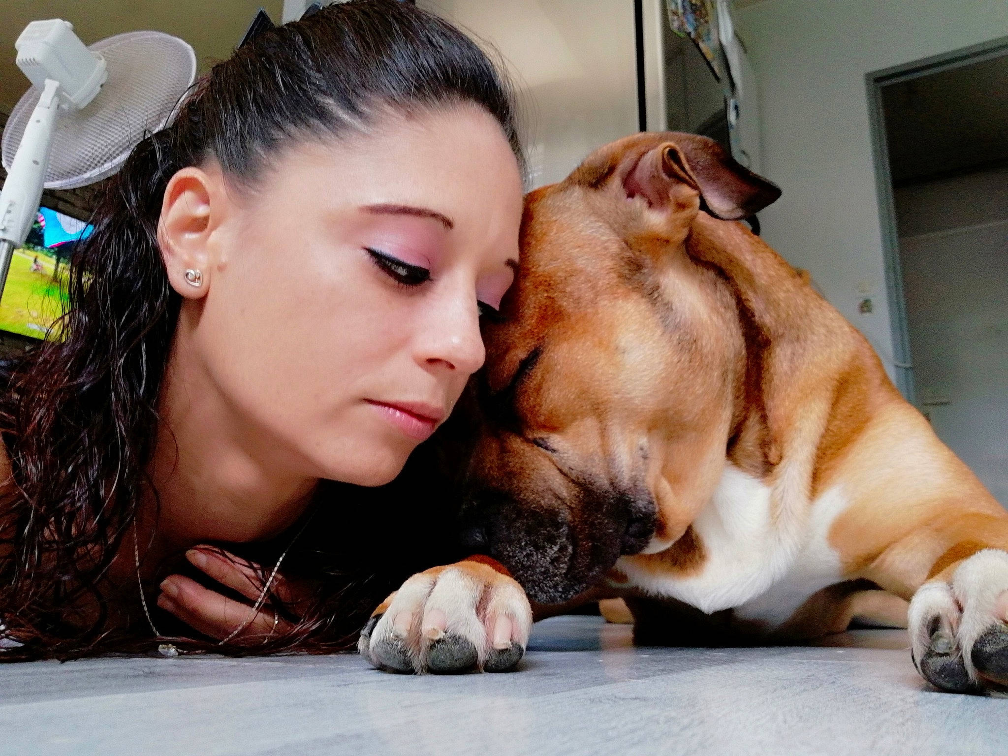 Tayron participe au concours pour gagner de l'argent avec cette photo : beauty, bulldog, canidae, carnivore, cheek, companion_dog, dog, dog_breed, ear, fawn, french_bulldog, fur, mouth, non_sporting_group, nose, puppy, puppy_love, skin, snout