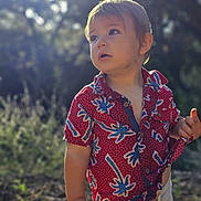 Virgile participe au concours pour gagner de l'argent avec cette photo : toddler, child, outdoor, nature, shirt, red_shirt, short_sleeve, patterned_clothing, curious, standing, sunlight, daylight, forest, greenery, casual_clothing, young_child, portrait, people, summer, expression