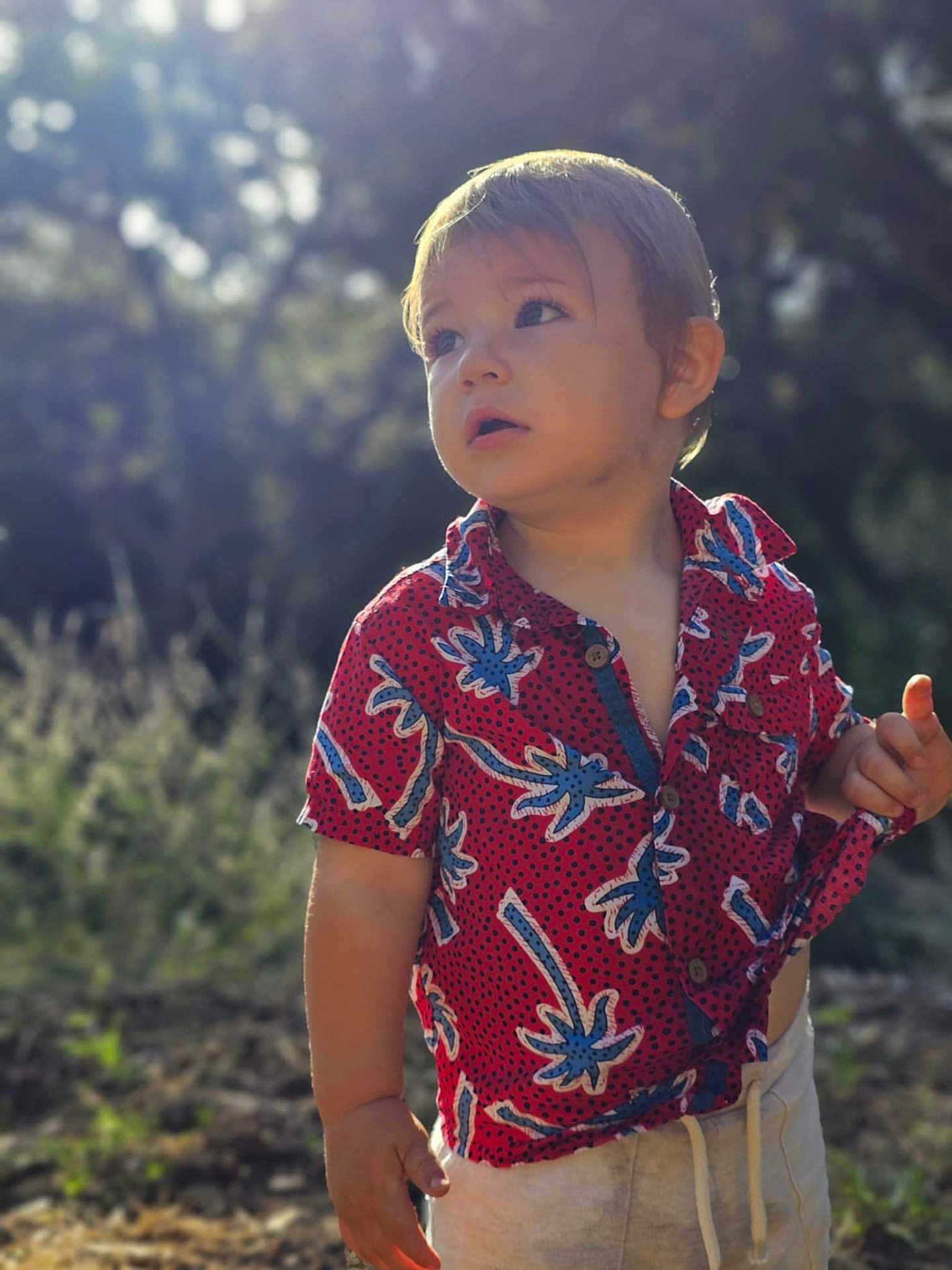 Virgile participe au concours pour gagner de l'argent avec cette photo : toddler, child, outdoor, nature, shirt, red_shirt, short_sleeve, patterned_clothing, curious, standing, sunlight, daylight, forest, greenery, casual_clothing, young_child, portrait, people, summer, expression