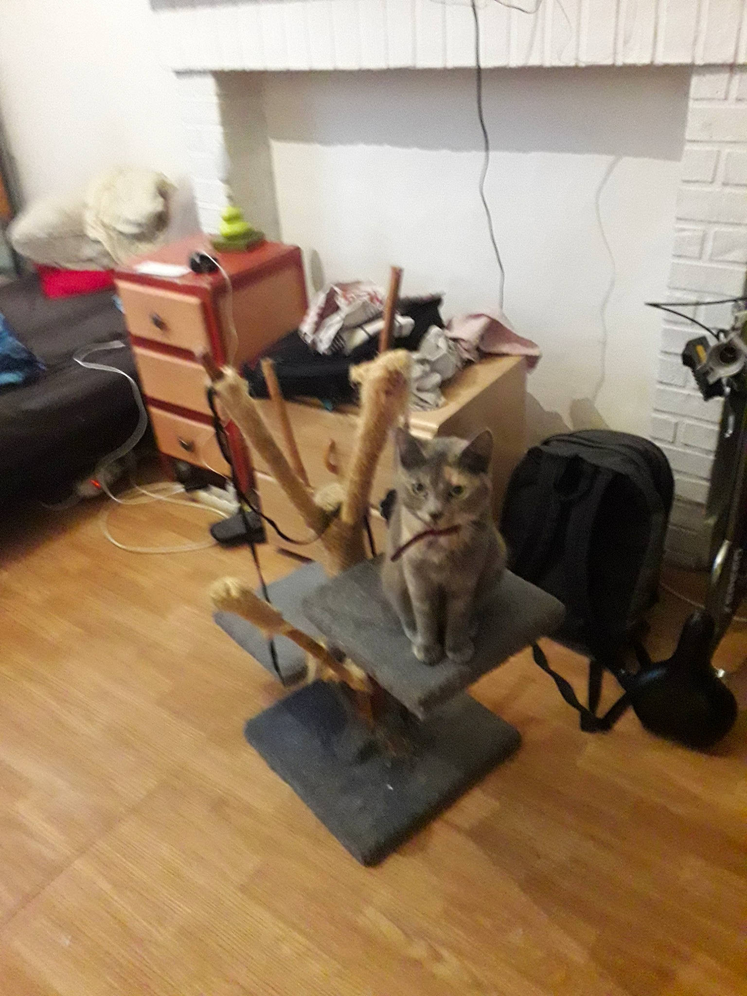 Anastasia participe au concours pour gagner de l'argent avec cette photo : chair, floor, flooring, furniture, hardwood, interior_design, laminate_flooring, room, wood, wood_flooring