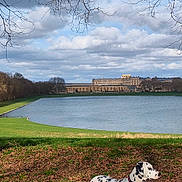 Unicorne a rejoint le concours — aidez-le/la à gagner de superbes lots ! animal, architecture, branches, canine, clouds, dalmatian, daytime, dog, grass, historic_building, lake, landscape, leaves, nature, outdoor, park, sky, spotted, trees, water