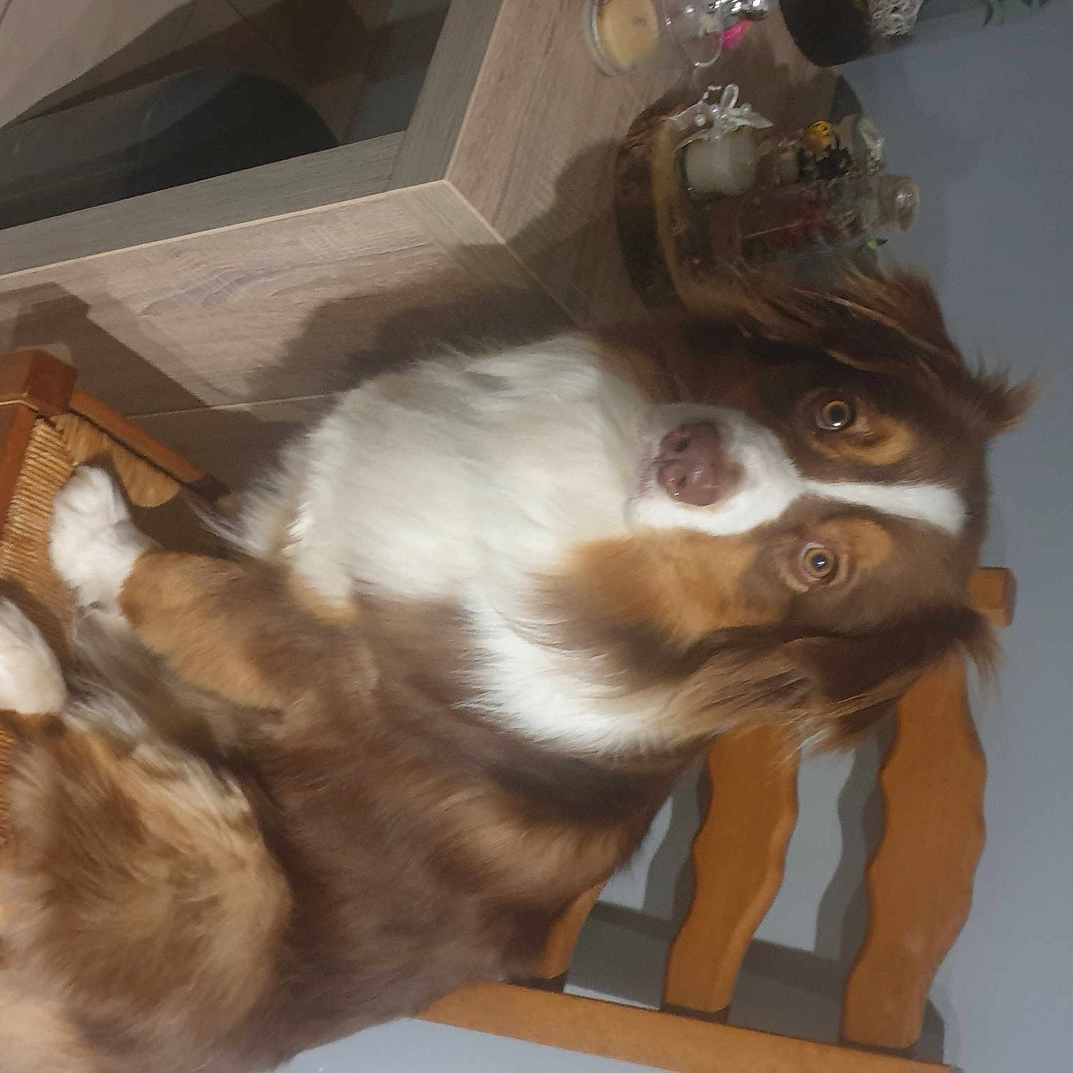 Pacco