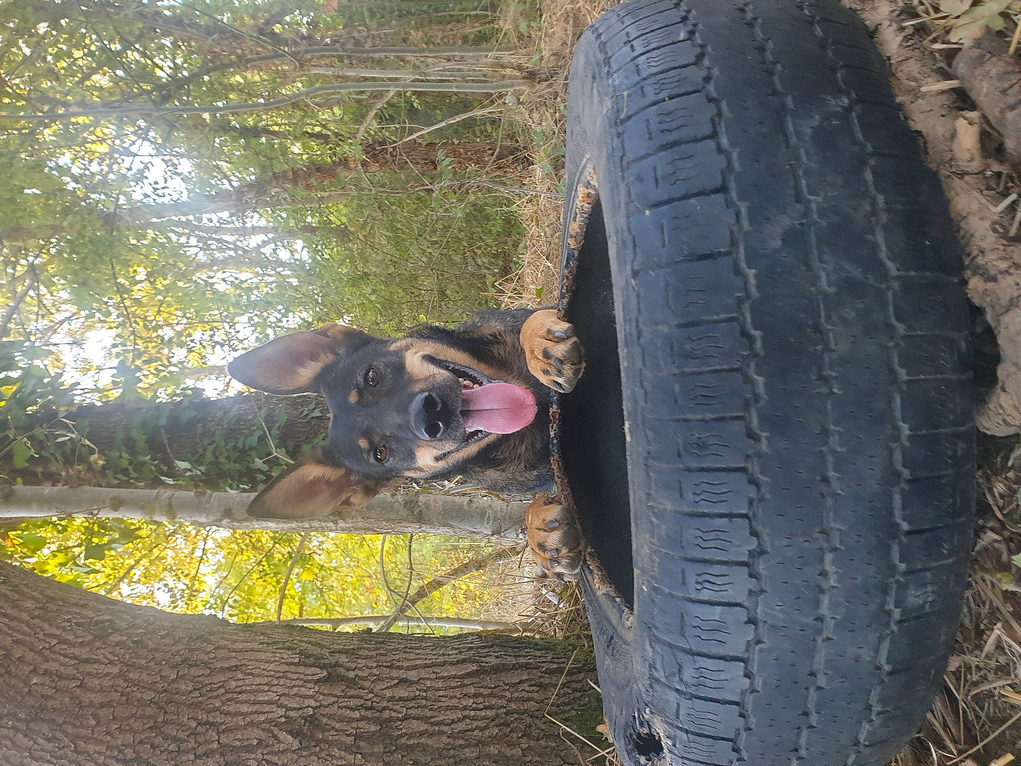 Helsi a rejoint le concours — aidez-le/la à gagner de superbes lots ! auto_part, automotive_design, automotive_exterior, automotive_tire, automotive_wheel_system, bumper, fender, grass, hubcap, motor_vehicle, rim, synthetic_rubber, tints_and_shades, tire, tire_care, tread, trunk, vehicle, wheel, window