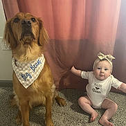 Paisley joined the competition — help win amazing prizes! baby, dog, golden_retriever, bandana, headband, carpet, curtain, indoor, pet, child, sitting, cute, matching_outfits, onesie, fur, portrait, room, animal, person, cozy