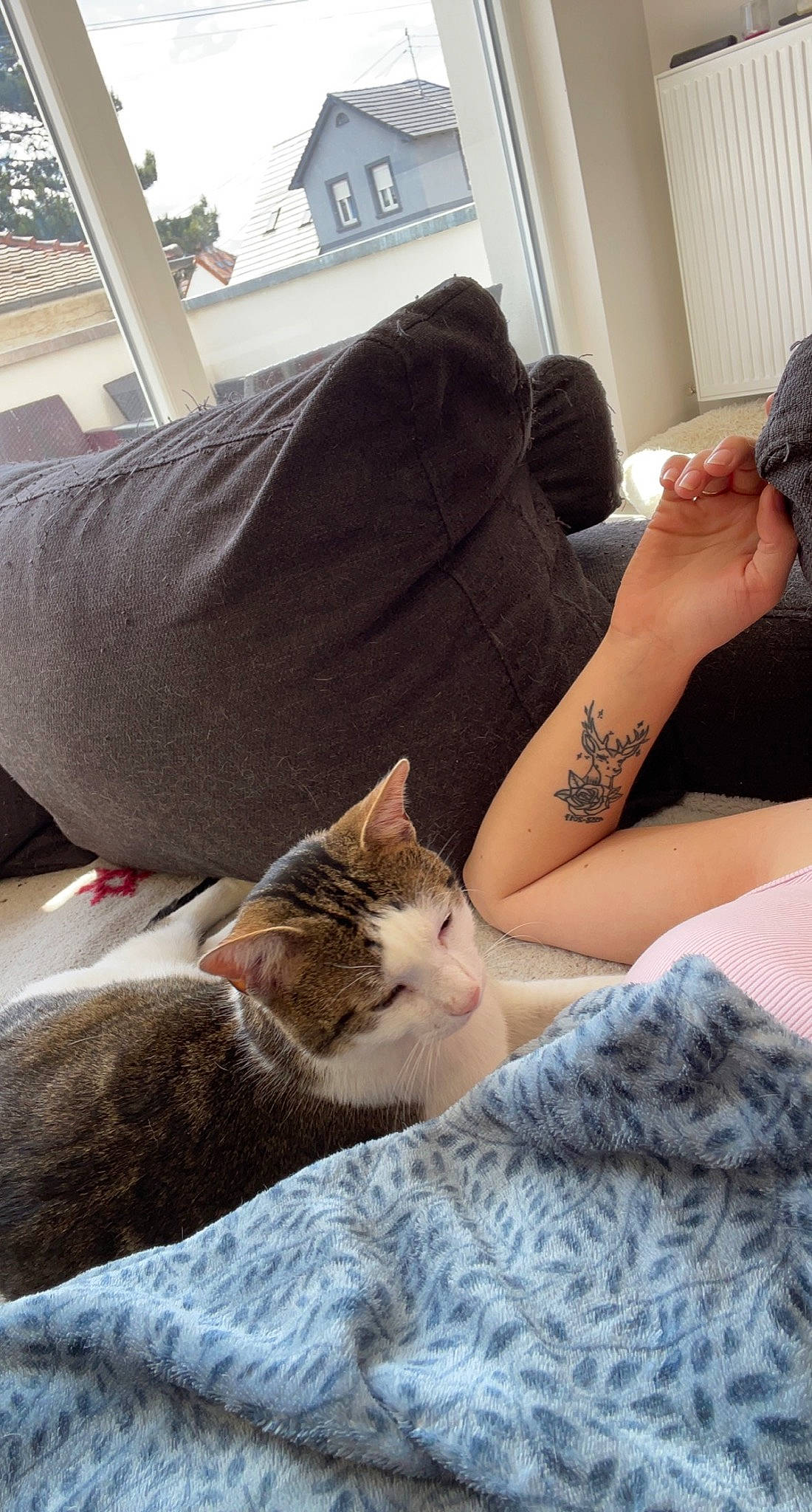 Azly participe au concours pour gagner de l'argent avec cette photo : bed, bedding, carnivore, cat, comfort, couch, fawn, felidae, flooring, grey, human_leg, lap, linens, room, sitting, small_to_medium_sized_cats, textile, thigh, whiskers, wood