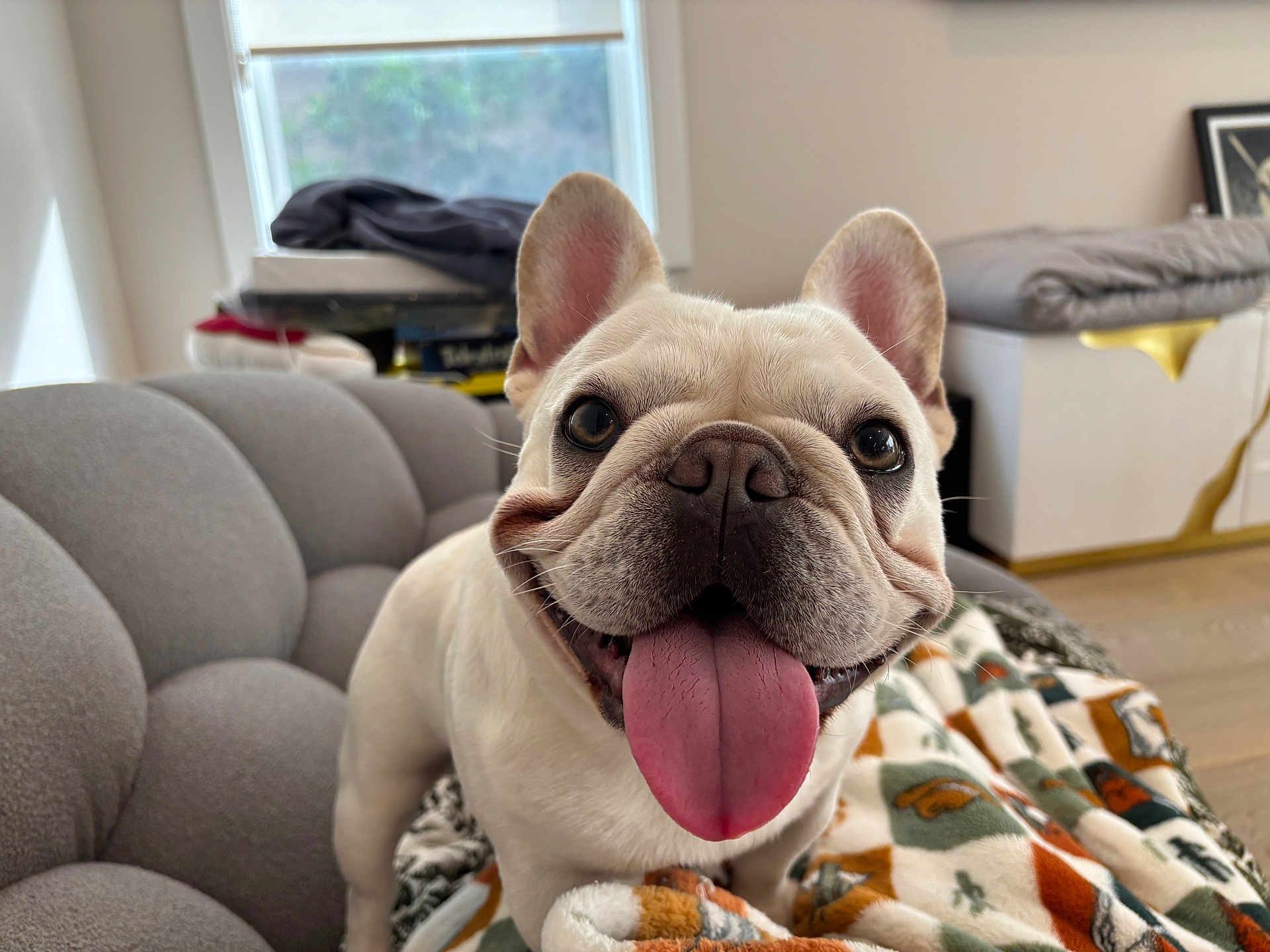 Tobey