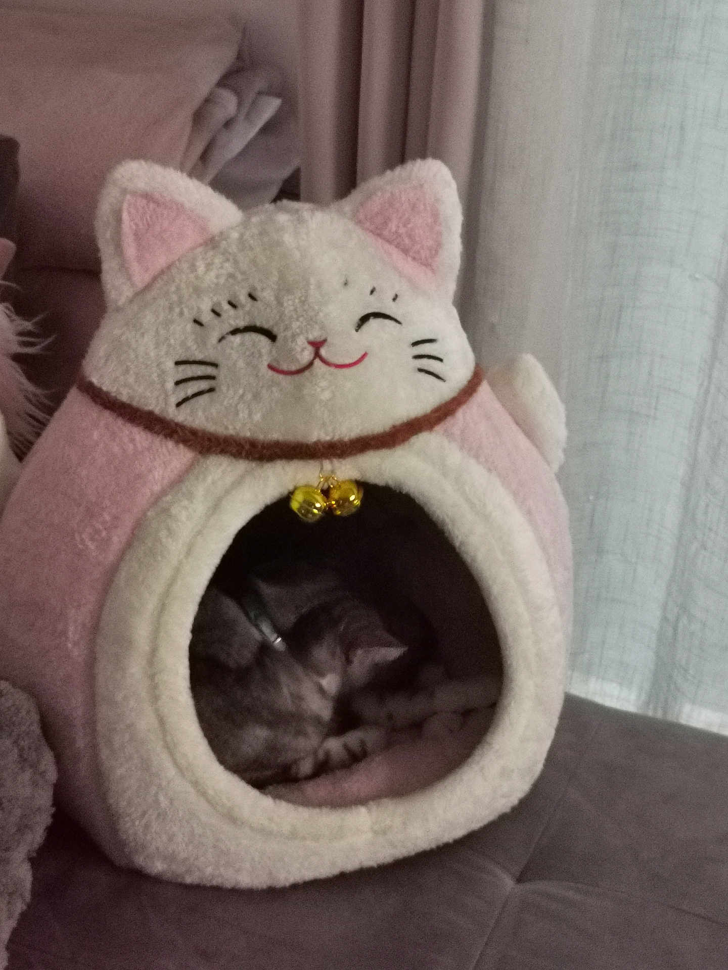 Sweety a rejoint le concours — aidez-le/la à gagner de superbes lots ! cat, cat_bed, sleeping, cozy, indoor, furniture, curtain, soft, plush, pink, white, gray_cat, pet, resting, home, cute, bells, cushion, relaxing, animal