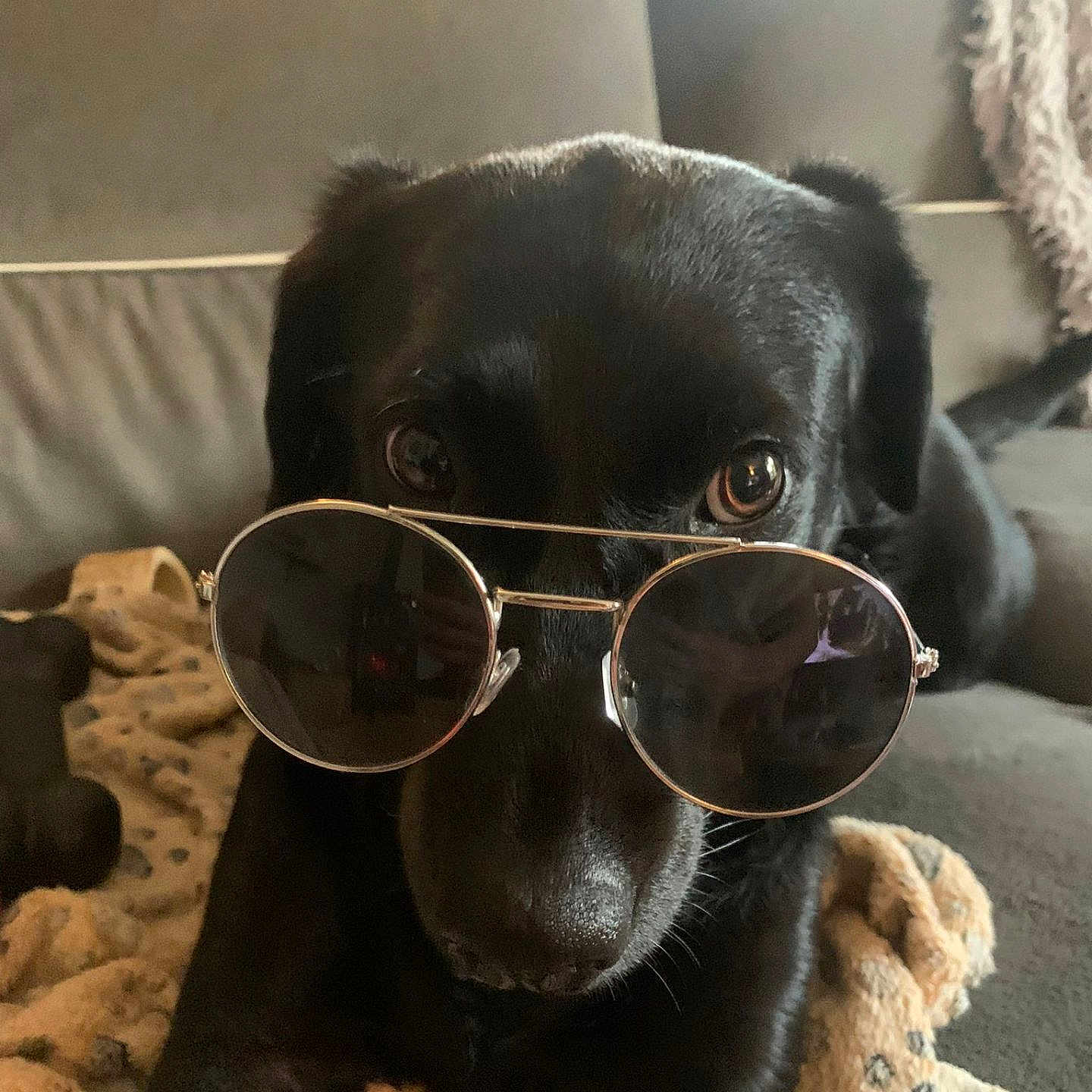 Joe