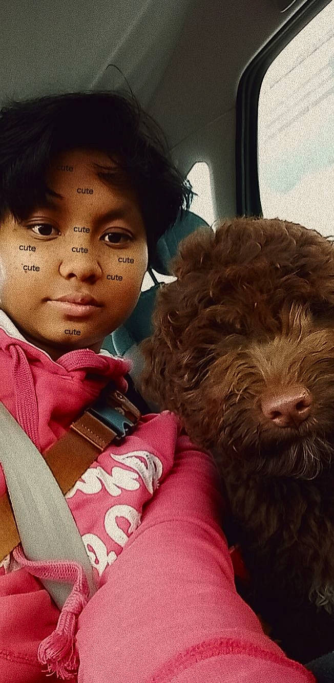 Suki participe au concours pour gagner de l'argent avec cette photo : canidae, carnivore, child, comfort, companion_dog, dog, dog_breed, flesh, fur, happy, labradoodle, liver, portrait_photography, puppy_love, sitting, skin, sporting_group, terrier, toddler, toy_dog