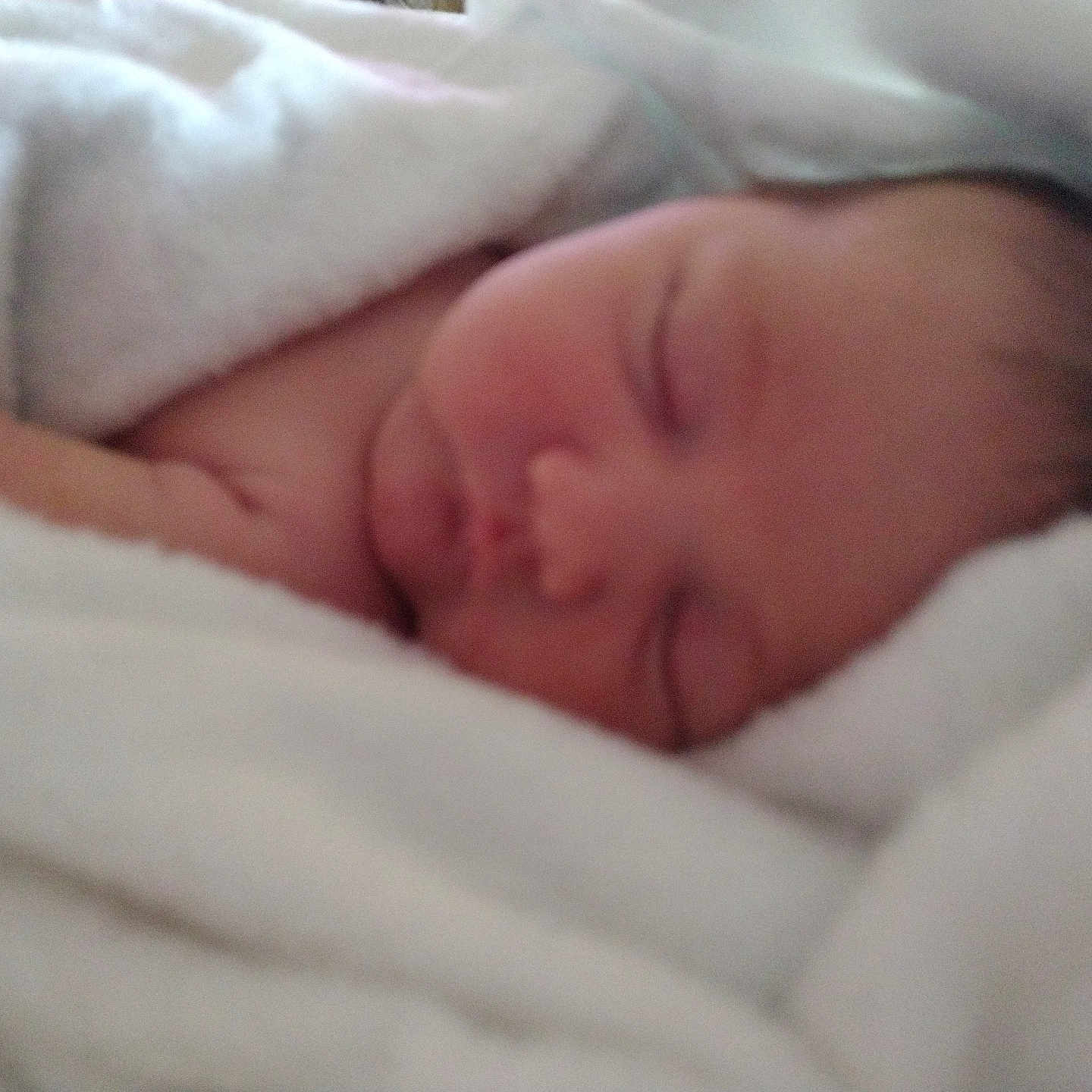 Daisy Covert joined the competition — help win amazing prizes! baby, bed, bedroom, blanket, face, furniture, head, indoors, newborn, person, photography, portrait, quilt, room, sleeping, towel