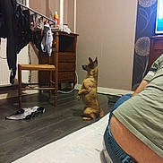 Dana a rejoint le concours — aidez-le/la à gagner de superbes lots ! cable, casual, clothing, dog, dresser, floor, furniture, home, indoor, person, pet, relaxing, room, side_view, sitting, television, waiting, wallpaper, wood_floor, wooden_chair