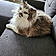 Finnigan
