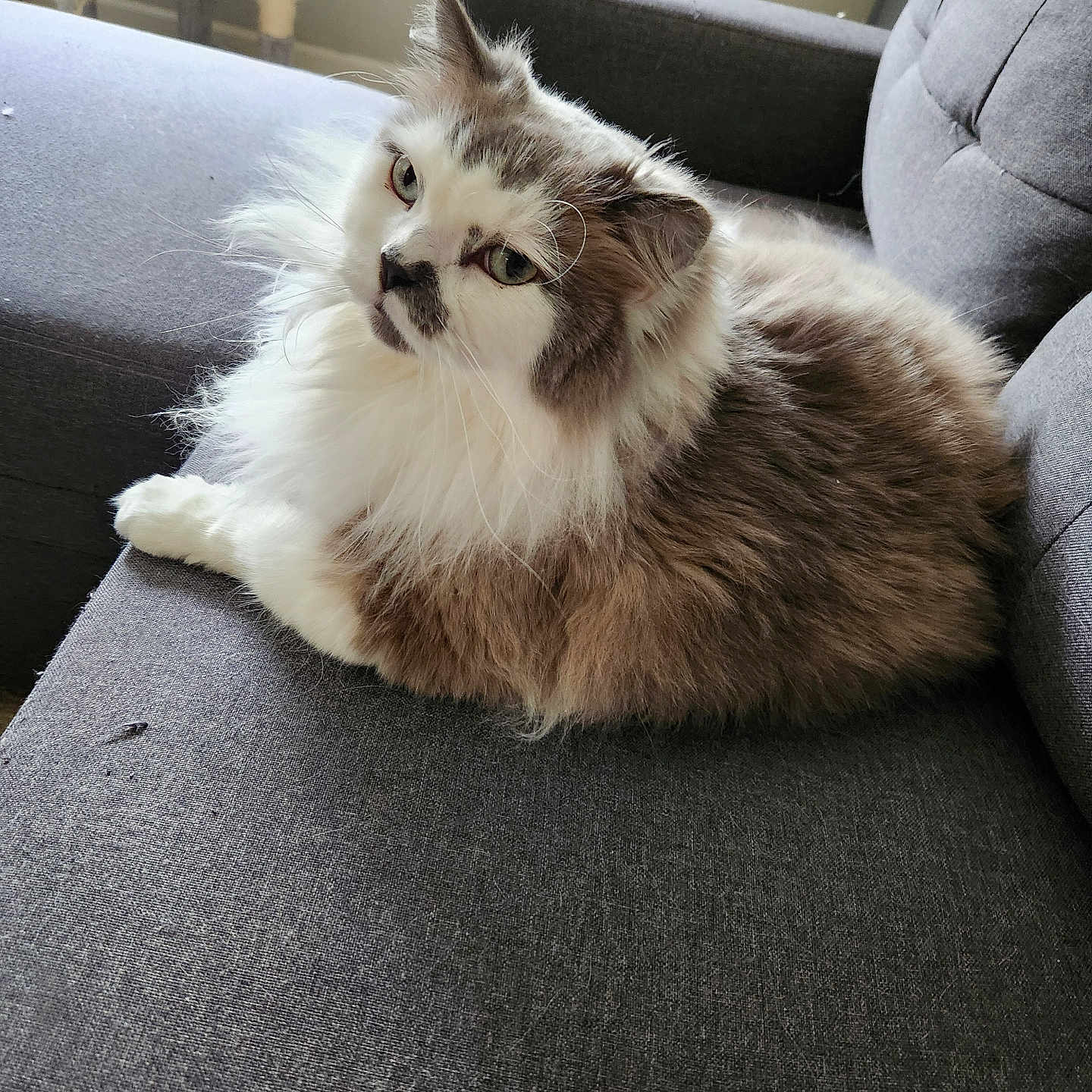 Finnigan