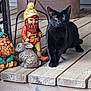 black_cat, cat, animal, wooden_deck, gnome, garden_gnome, ceramic_rabbit, outdoor, pet, animal_figurine, plant_pot, pinecones, porch, wooden_floor, decorative, whimsical, nature, feline, domestic_cat, statue
