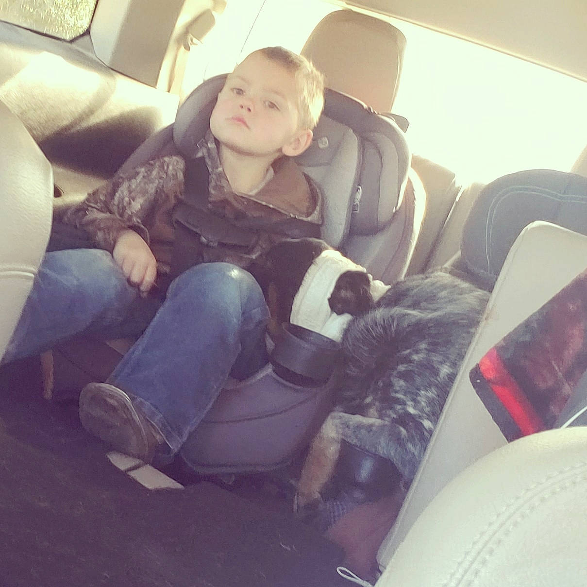 Hurley is registered to the contest to win money with this photo: black_hair, car, car_seat, chair, child, cloud, comfort, cool, couch, family_car, fun, furniture, leg, long_hair, passenger, person, selfie, sitting, smile, vacation